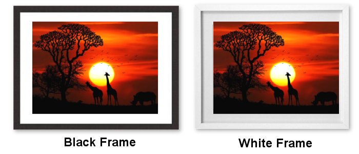 Select Your Frame